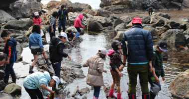 春の若狭路まるごとキャンプ
