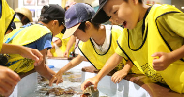 2018夏キャンプ【B2組】